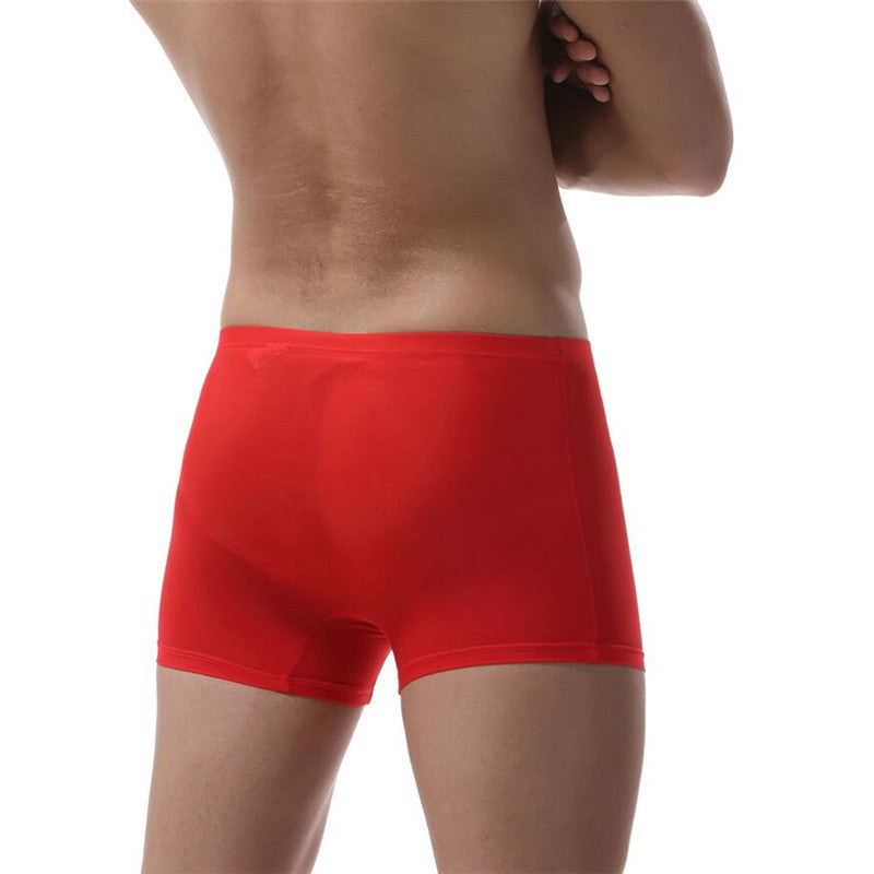 Ice Silk Underwear Transparent Elastic Men's