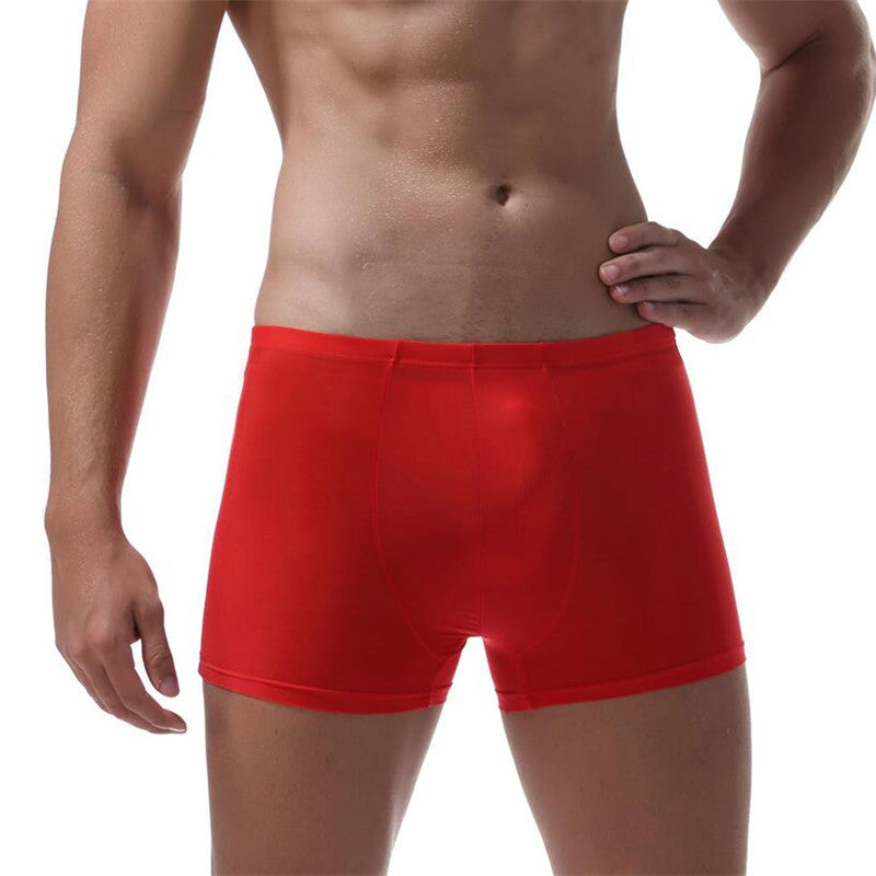 Ice Silk Underwear Transparent Elastic Men's