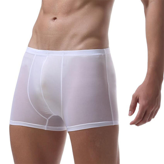 Ice Silk Underwear Transparent Elastic Men's