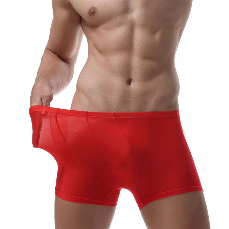 Ice Silk Underwear Transparent Elastic Men's